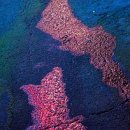 신해화학 이미지