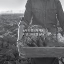 디자인샤인