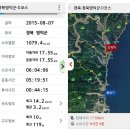 영덕 블루로드 민박 티스토리