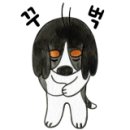 솔 동물의료센터 이미지