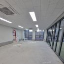 도그아레아 이미지