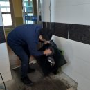 온양고등학교 Daum카페