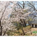 화원동산 이미지