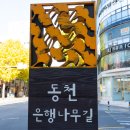 목동천길 이미지