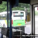 비아119안전센터 이미지