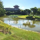 유네스코 문화유산 수원화성 산책하며 둘러본 후기
