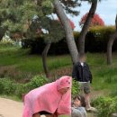 이마트24 부산신호부영5차점