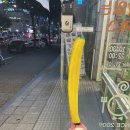 일산 호수공원 라페스타 맛집 몽키왕돈까스 내돈내산 후기