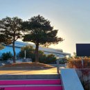 자연과 입체 미술 따라잡기 | 대구미술관 근대미술 상설전 관람 후기｜전시 구성부터 아카이브 공간까지