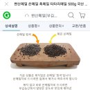 쓴메밀 이미지