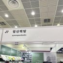2025 서울국제도서전 금요일 방문후기 및 꿀팁 공유