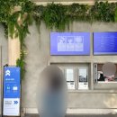 제주 이쁘냥 고양이미용실 | 제주 서귀포 실내가볼만한곳 워터월드 미디어아트 테마파크 후기