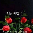 미락유통 이미지
