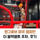 원그로브 마곡 챔피언 더 블랙벨트 키즈카페 주차 후기