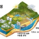 포지티브