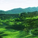 웰리힐리 컨트리클럽 이미지