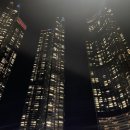 블루샥팔레드시즈점