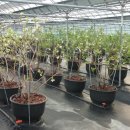 산천농장 이미지