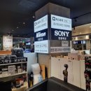 비원전자 이미지