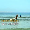 울산 서핑 강습 후기 진하해수욕장 서프홀릭 이색데이트 추천
