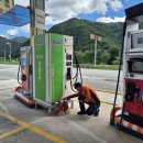 장수주유소 이미지