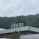 수목휴게소 | 내향인을 위한 휴식처, 비오는 날 파크로쉬 3박 4일 숙암 트윈룸 후기 (주차, 객실, 프로모션)