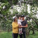 하정농장 이미지