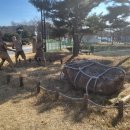 고인돌 역사공원 이미지