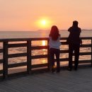 제부낙조 이미지