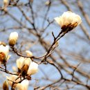 매화민박 이미지