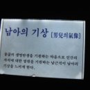 천곡천연동굴 이미지