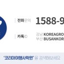 성공여행사 이미지