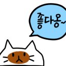 개깔끔 이미지