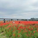 영산강둔치체육공원 이미지
