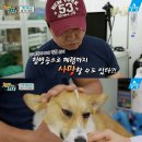 개밥주는 남자 이미지