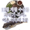 일출과메기 | 12월 제철 수산물 과메기·복어와 어촌 여행지