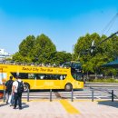 (주)노랑풍선시티버스 이미지