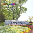 순천만국가정원 이미지