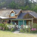 양평황토방원두막 이미지