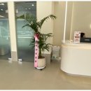 친절한 동물병원 이미지