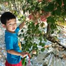 큰별나라어린이집 이미지