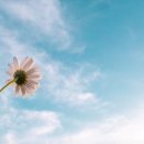 종합음식점 이미지