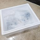 꾸어구어 네이버블로그