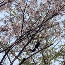 서달산공원 이미지