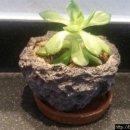 적성산단로 이미지