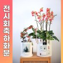 이수미 개인전 이미지