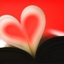 착한바보 이미지