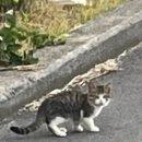 김군 524게스트하우스 이미지