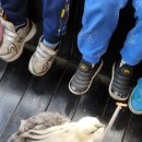 신천안어린이집 이미지