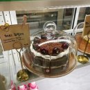 썬 크림(Sun Cream) | 도시 카페] N번째 방문중인 충북혁신도시 수제 케이크 맛집 썬,크림 내돈내산 후기(반려동물🐕‍🦺동반 카페)